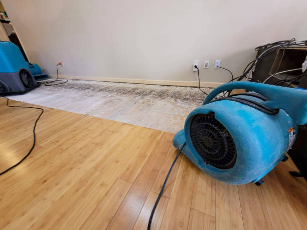 Professional Emergency Water Damage technician working in Federal Way, WA
